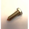 Tornillo de la bomba de aceite